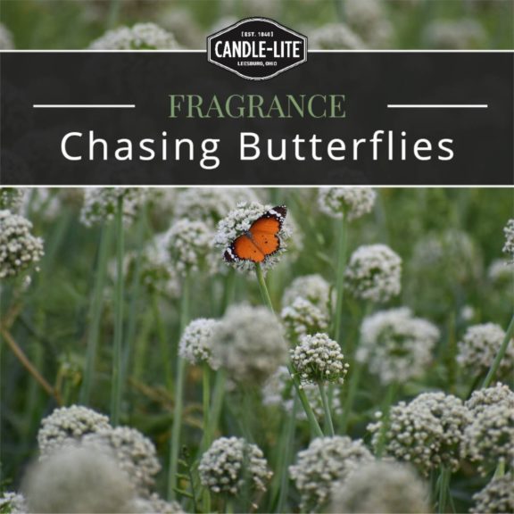 Duftkerze Chasing Butterflies - 510g