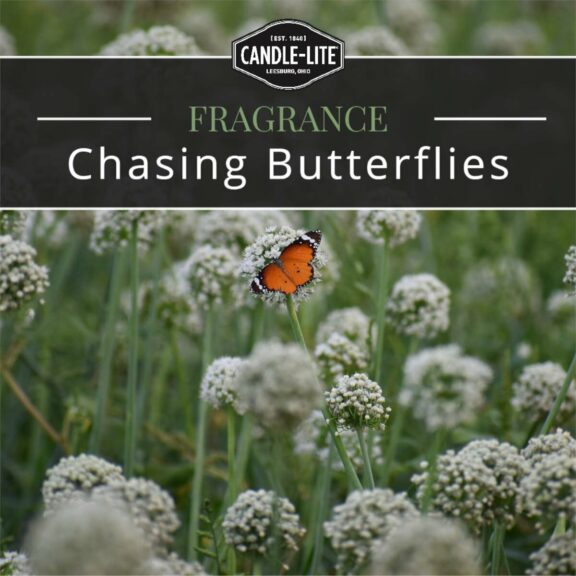 Duftkerze Chasing Butterflies - 510g