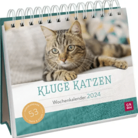 Groh Kluge Katzen 2024