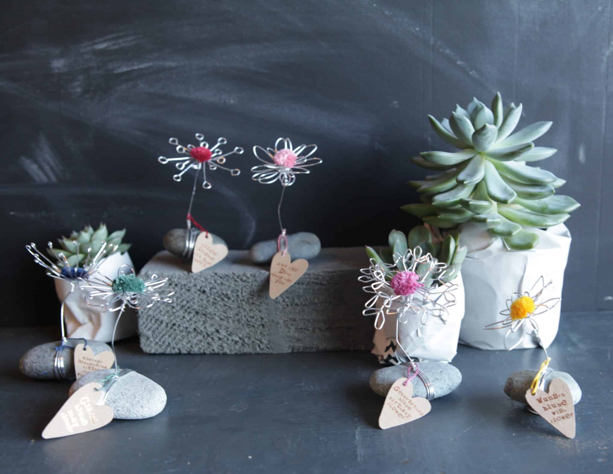 Good old friends, Glücksblumen Steine.