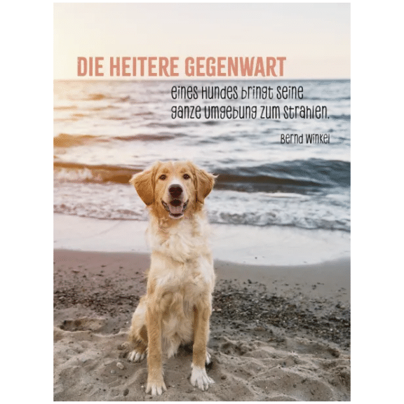 Groh Hunde sind die besten Freunde