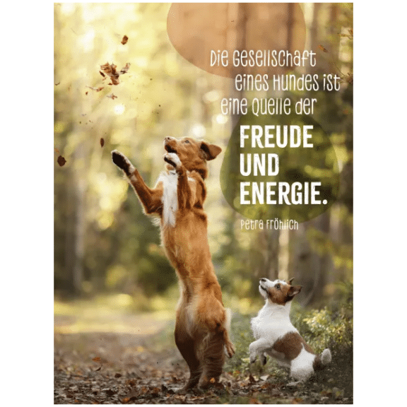 Groh Hunde sind die besten Freunde