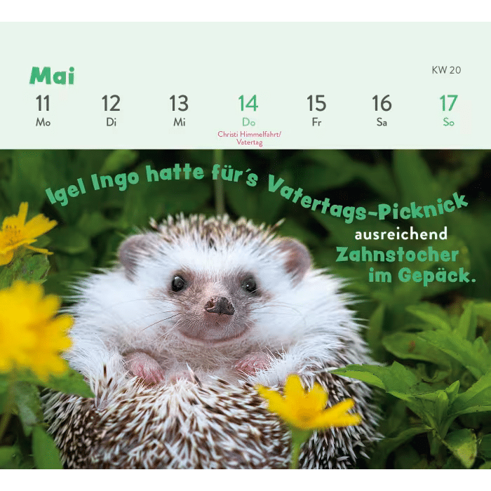 Groh Mini-Wochenkalender 2026: Tierisch gechillt!