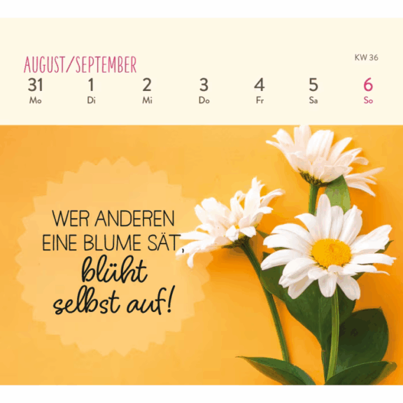 Groh Mini-Wochenkalender 2026: Ein kleines Lächeln für jeden Tag