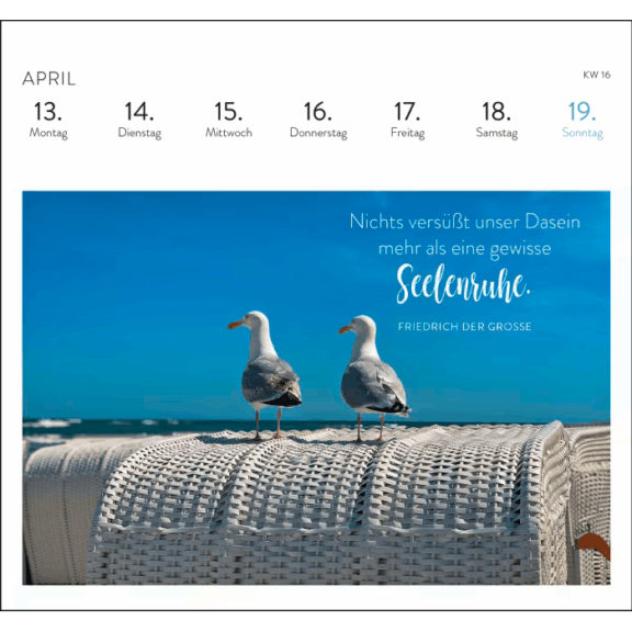 Groh Postkartenkalender 2026: Träume vom Meer