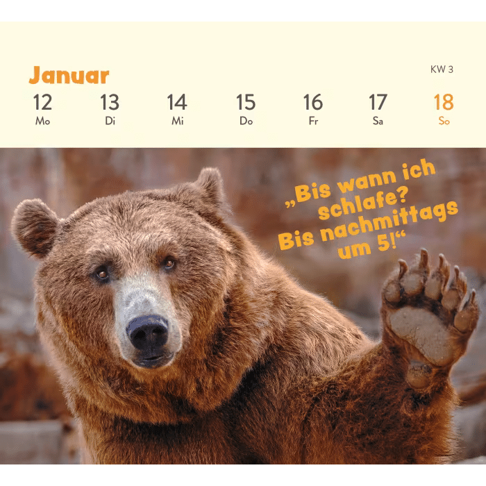 Groh Mini-Wochenkalender 2026: Tierisch gechillt!