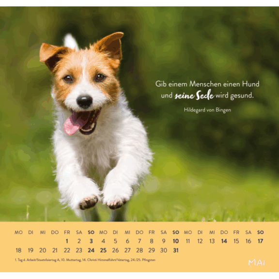 Groh Wandkalender 2026: Für Hundefreunde