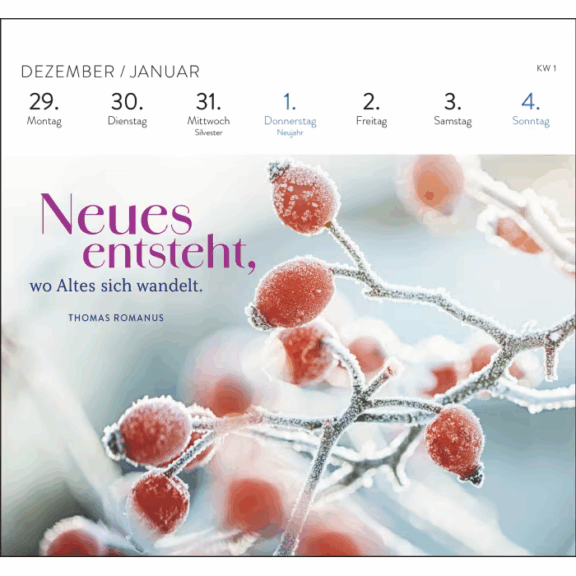 Groh Postkartenkalender 2026: Die schönsten Weisheiten für jeden Tag