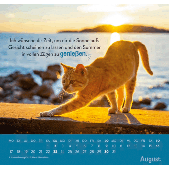 Groh Wandkalender 2026: Einfach mal abhängen