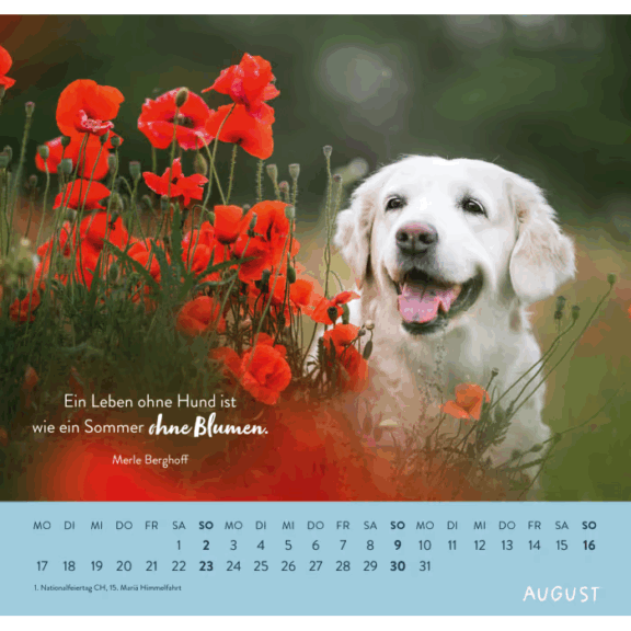 Groh Wandkalender 2026: Für Hundefreunde