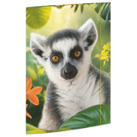 RMK, Zeichenmappe "Lemur", Karton, 350 g/qm, DIN A3