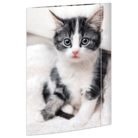 RMK, Zeichenmappe "Katze", Karton, 350 g/qm, DIN A3