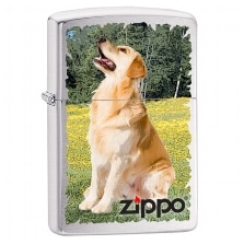 Zippo Feuerzeug Golden Retriever Design