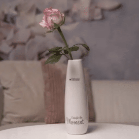 Tiziano Vase Manioli ohne Schrift weiß - creme 20,0 cm