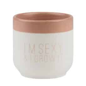 Räder Blumige Grüsse "I'm sexy & I'grow it"